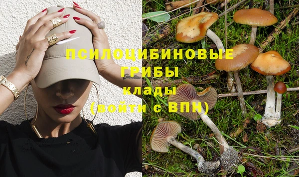 Альфа ПВП Гусев