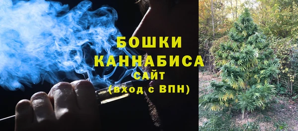 Альфа ПВП Гусев