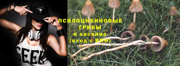 МДПВ Гусиноозёрск
